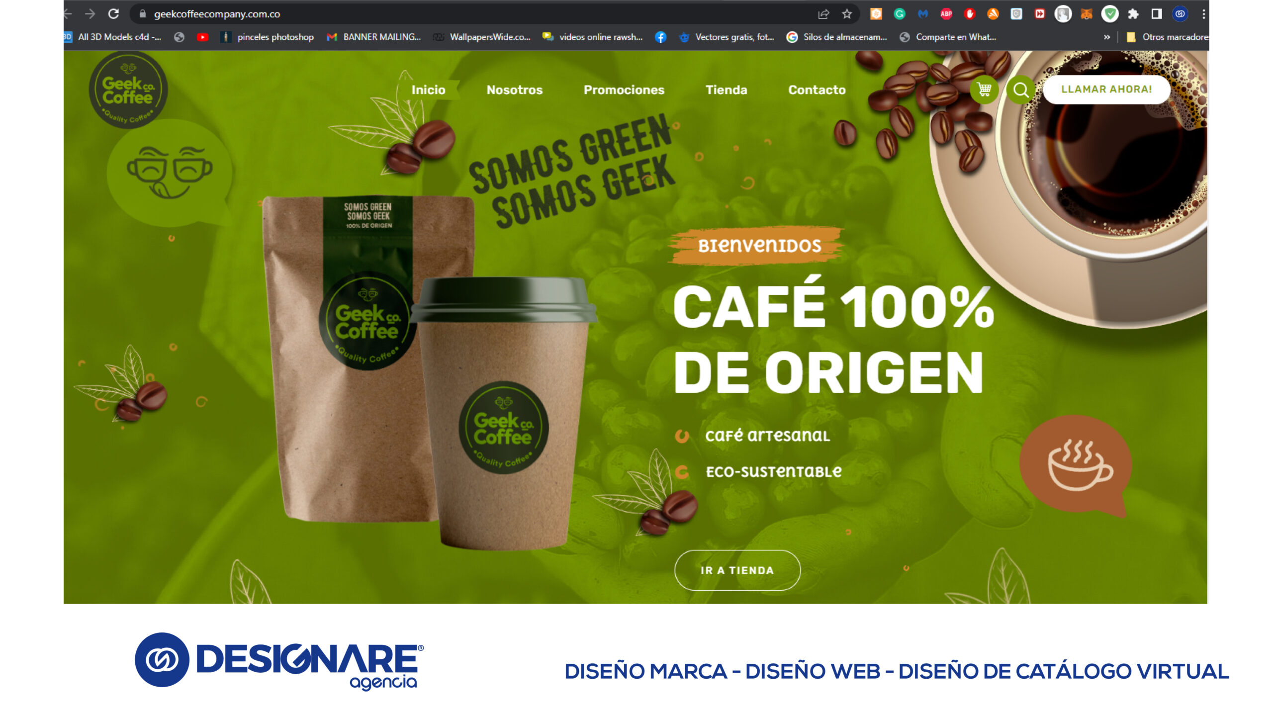 SITIOS WEB DESIGNARE AGENCIA-07 (1)