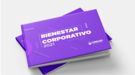 diseño de portafolios y brochures online