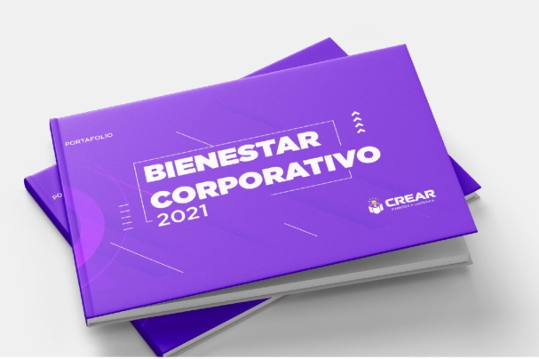 diseño de portafolios y brochures online