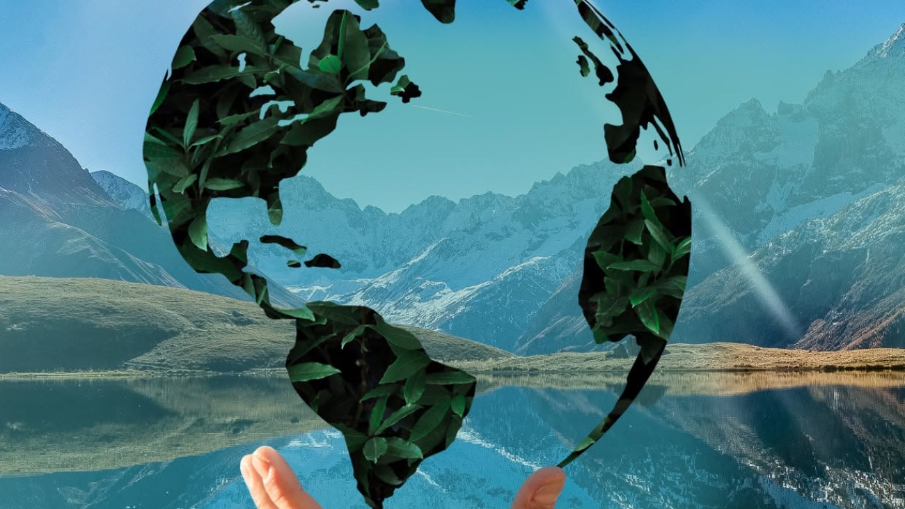 diseño de  revistas virtuales designare agencia