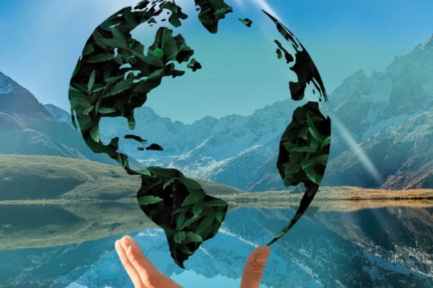 diseño de revistas virtuales designare agencia