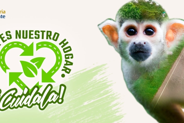 campañas publicitarias designare agencia