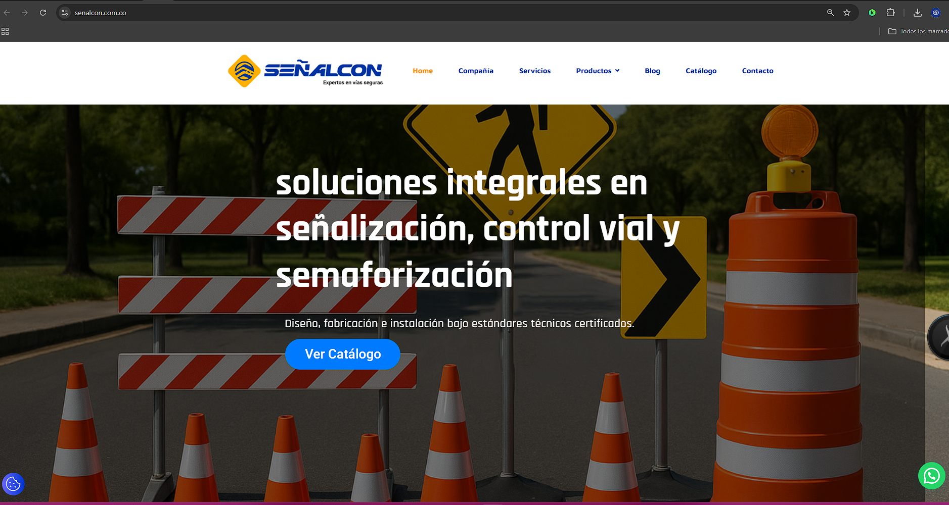 desarrollo de marca y sitio web designare agencia