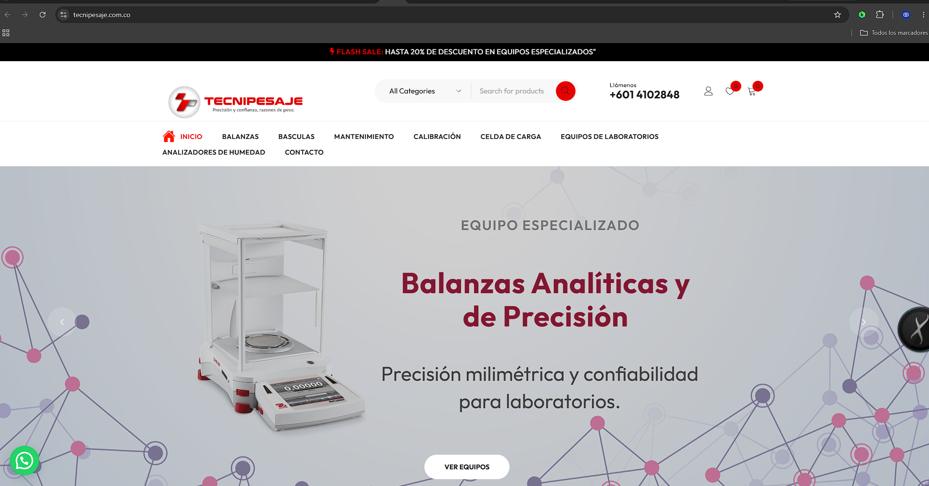 DESARROLLO DE PAGINAS WEB DESIGNARE